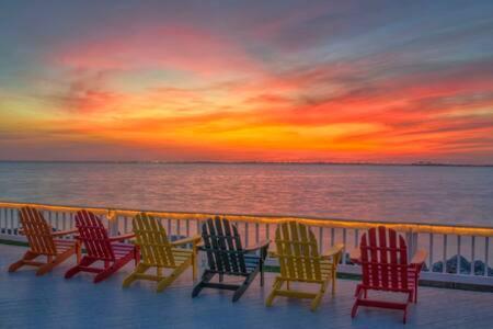 The Hemingway Subtropical Luxury On The Tampa Bay Villa Екстериор снимка